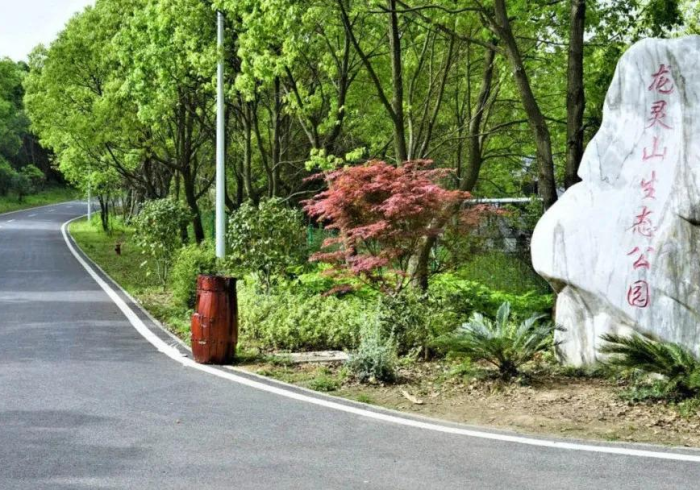 【玩家游戏玩法】“亲友游戏有挂吗？”(必胜开挂神器)