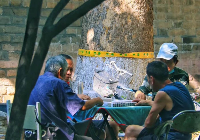 今日教程“258娱乐桌提升运气有用吗”分享必要外挂教程