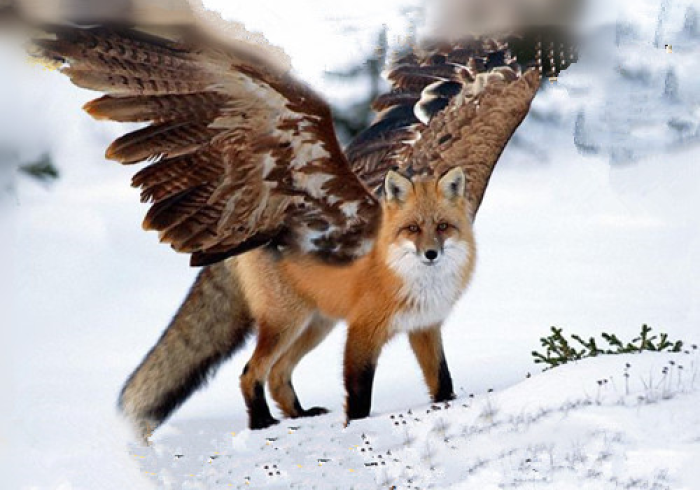 【 玩 家 必 看 】 “ 飞 禽 走 兽 的 确 可 以 开 挂 ？ _ 游 戏 _ 玩 家 _ 工 具