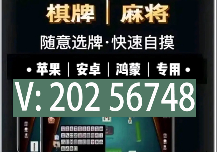 教大家使用“功夫川麻将开挂神器+透视挂”开挂辅助教程 教大家使用“功夫川麻将开挂神器+透视挂”开挂辅助教程